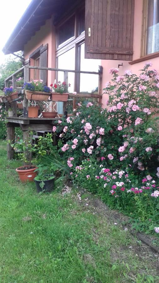 Il Pettirosso Di Giusvalla Extérieur photo