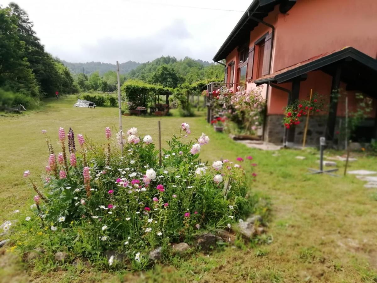 Il Pettirosso Di Giusvalla Extérieur photo