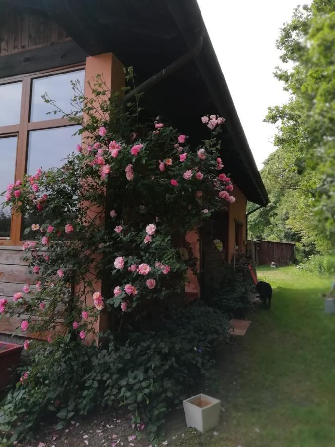 Il Pettirosso Di Giusvalla Extérieur photo